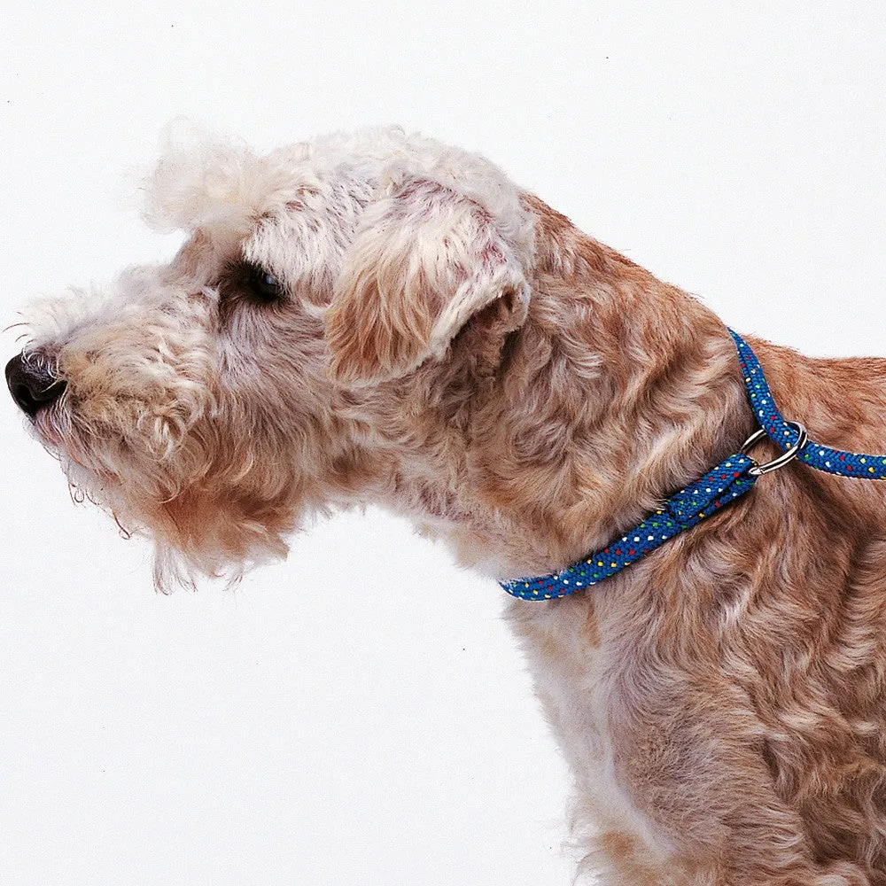 Ferplast Sport GC 8/160 Dog Lead With Collar